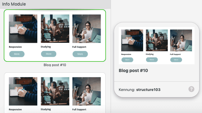 Previewing Modules_DE